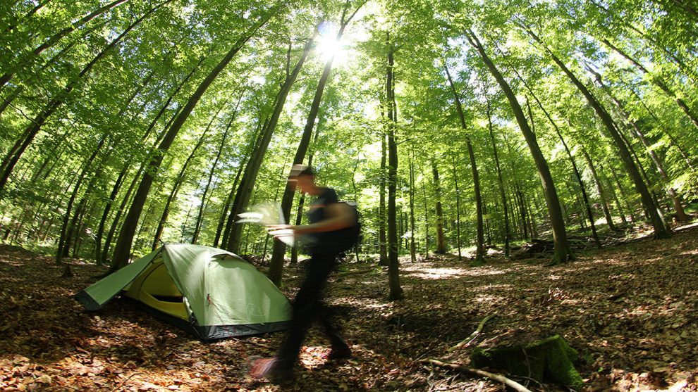 Trekking Schwarzwald - Übernachten in der Wildnis