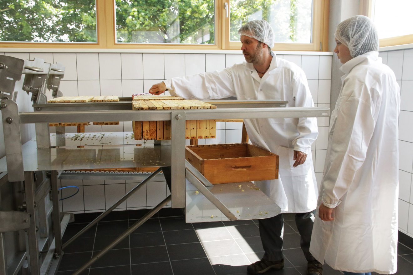 Cum Natura Produktion - Honigverarbeitung