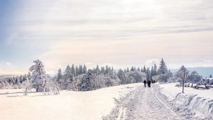 Naturpark-Schwarzwald-Blog_Wallpaper_Winter-Schliffkopf_(c)Shutterstock