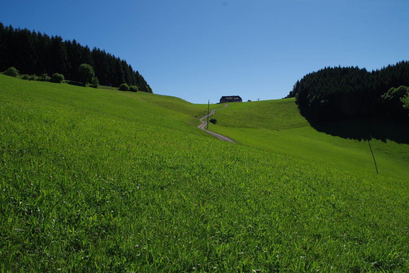 Landschaft um den Prinzbachhof