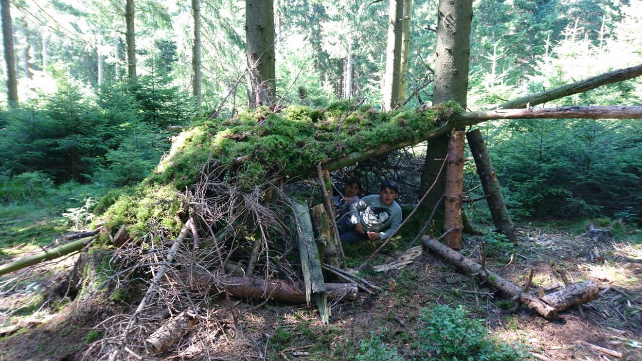Infozentrum Kaltenbronn: Wildniswoche für Kinder - Lager bauen im Wald