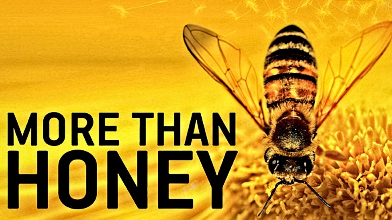 Filmplakat "More than honey"