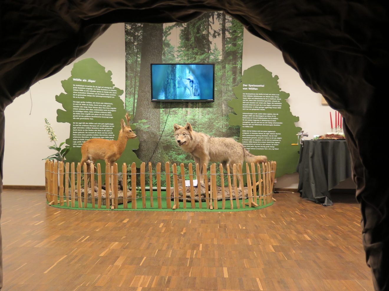 Ausstellung "Und wenn der Wolf kommt?" im Infozentrum Kaltenbronn
