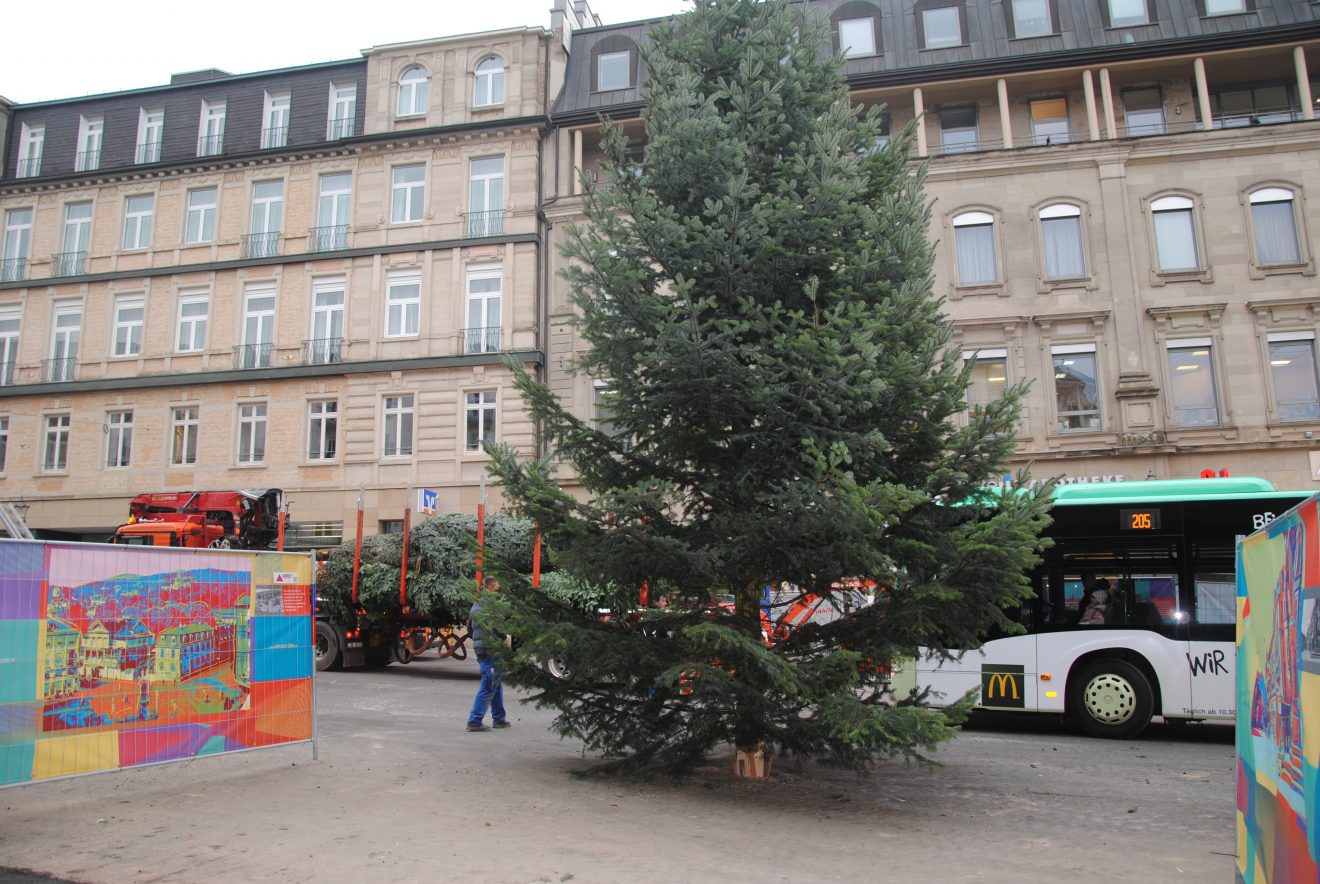 Weihnachtsbaum vom Ramsteinerhof für Baden-Baden