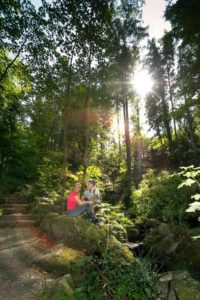 Naturpark-AugenBlick-Runde Sasbachwalden
