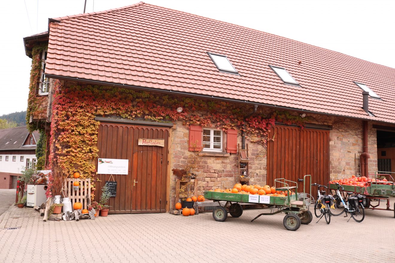 Der Aspichhof - vielfältige Landwirtschaft und soziale Einrichtung