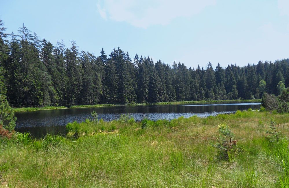 Karseen im Naturpark - Herrenwieser See