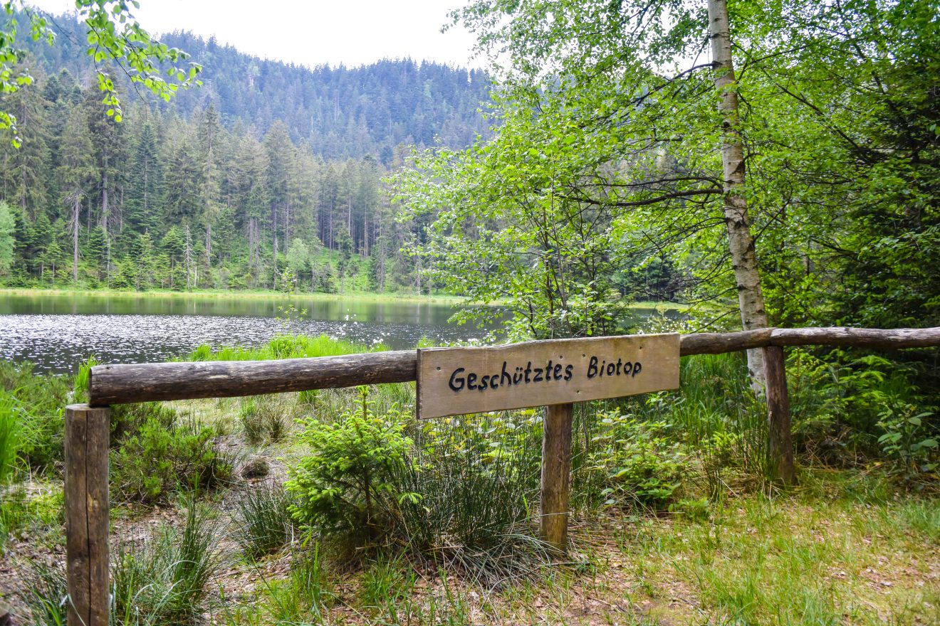 Kaarseen im Schwarzwald: Schurmsee und Blindsee