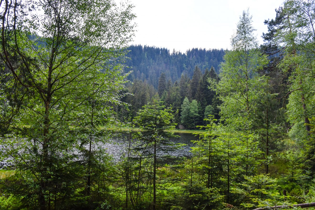 Kaarseen im Schwarzwald: Schurmsee und Blindsee