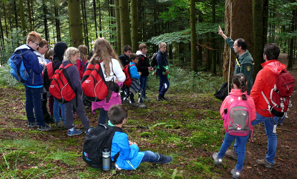 Naturpark-Schule Wolftalschule Oberwolfach mit dem Förster unterwegs