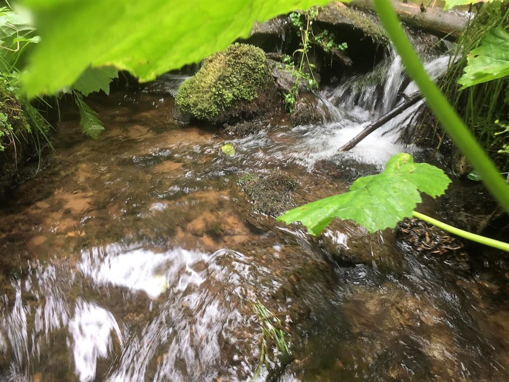 Fotowettbewerb "Die Welt des Wassers" 2019 im Naturpark Schwarzwald Mitte/Nord - Bäche und Flüsse