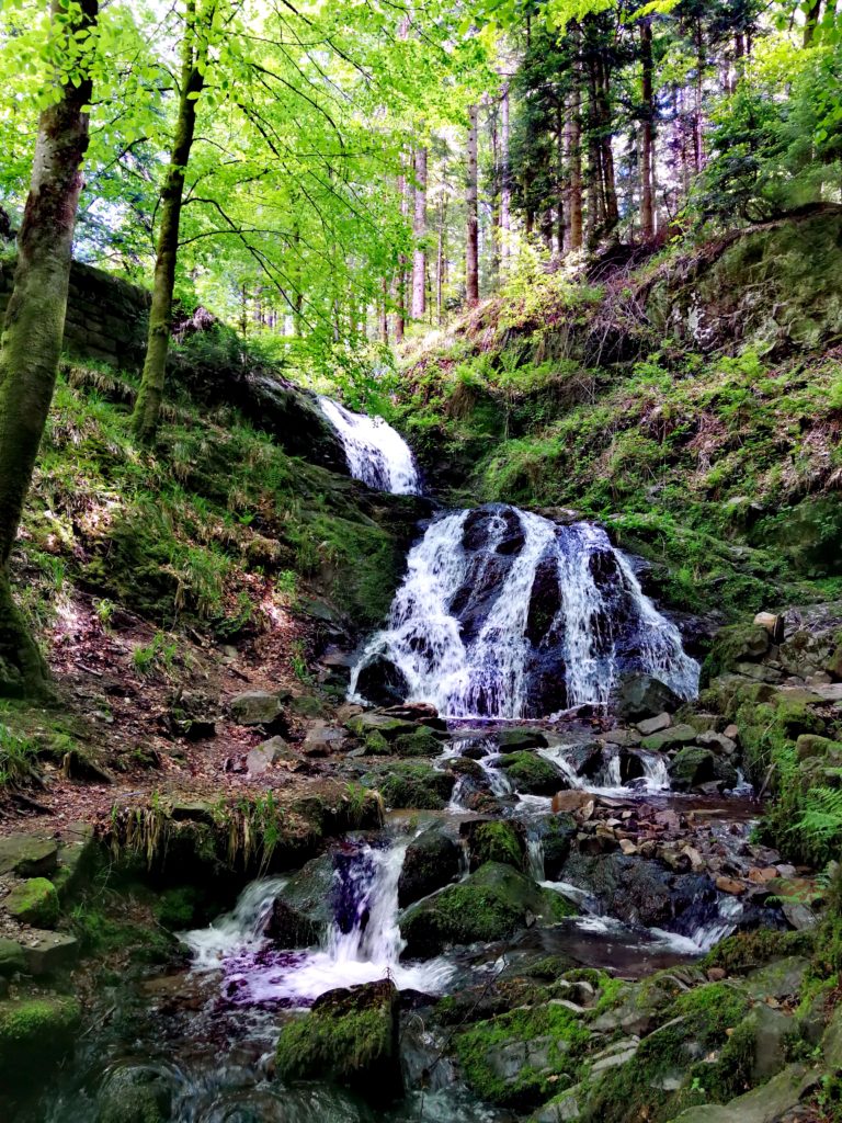 Fotowettbewerb "Welt des Wassers" im Naturpark Schwarzwald Mitte/Nord - Wasserfälle