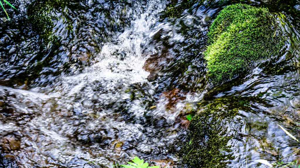 Fotowettbewerb "Die Welt des Wassers" 2019 im Naturpark Schwarzwald Mitte/Nord - Bäche und Flüsse
