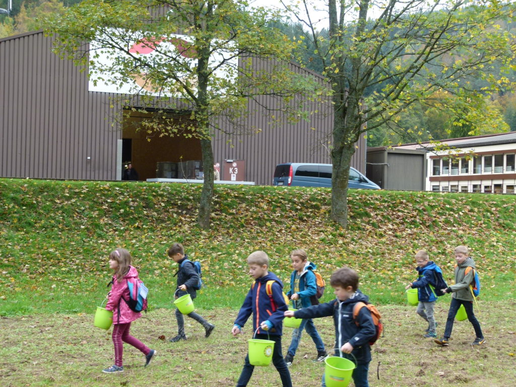 Aussaat Wildblumenwiese Kinder Schlossbergschule Neuenbürg Herbstreith & Fox
