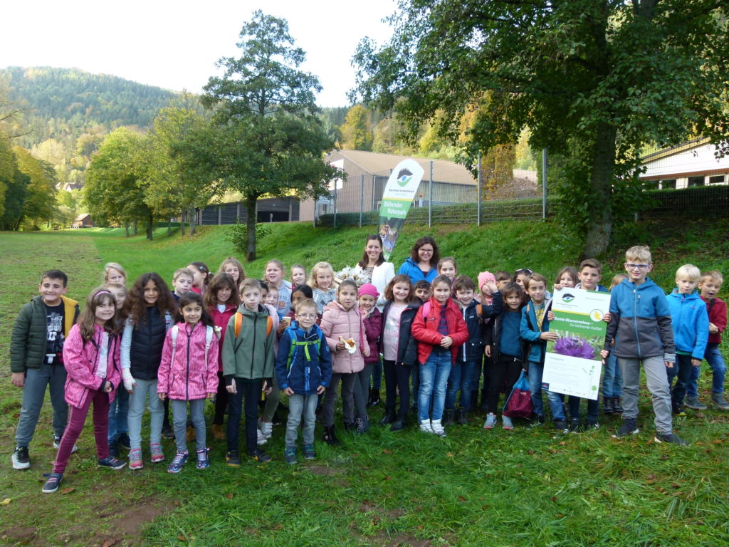 Kinder der Schlossbergschule Neuenbürg säten Wildblumenwiese ein.