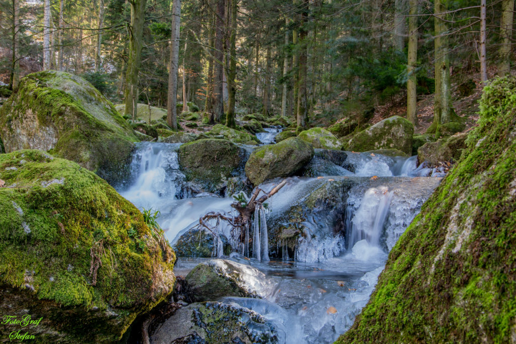 Fotowettbewerb "Die Welt des Wassers" 2019 Naturpark Schwarzwald Mitte Nord - Eis und Schnee