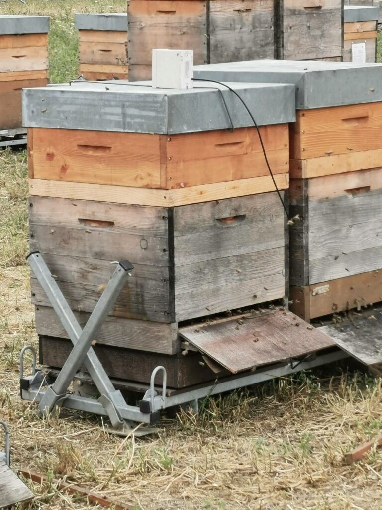 Cum Natura Honigernte Bienen Stockwaage