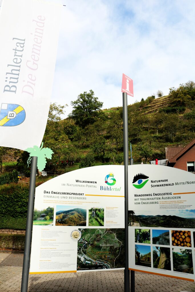 Herzenssache Natur - Trockenmauerpflege am Engelsberg in Bühlertal