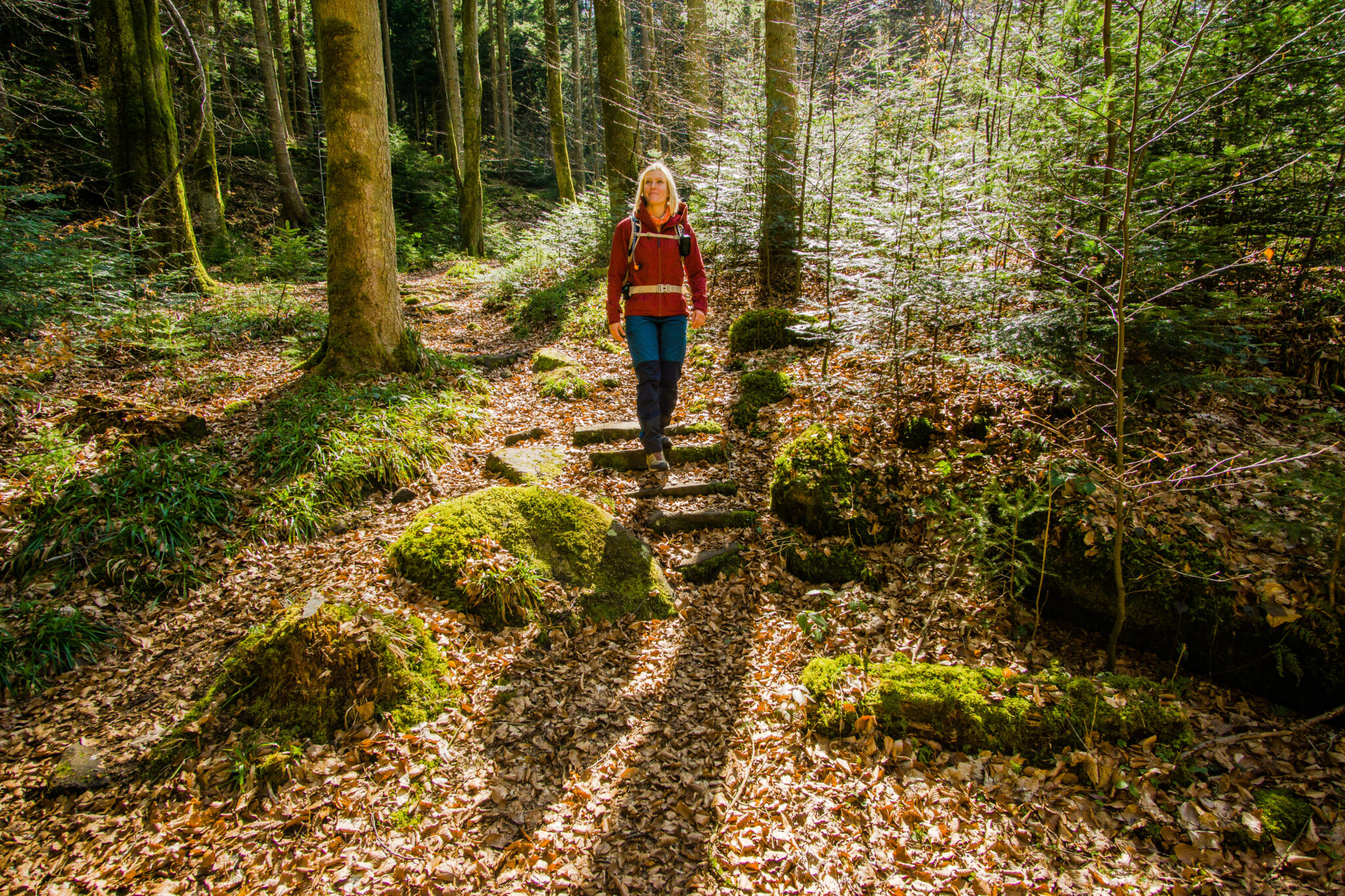 Wildromantisches Schweinbachtal Naturpark Schwarzwald Mitte/Nord