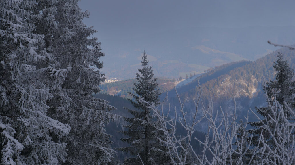 SWR - Ein Winter im Schwarzwald