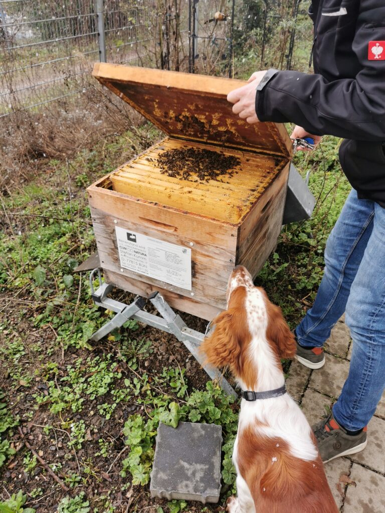Cum Natura - mit den Bienen vom Winter in den Frühling - Stefan Kumm und Carlo