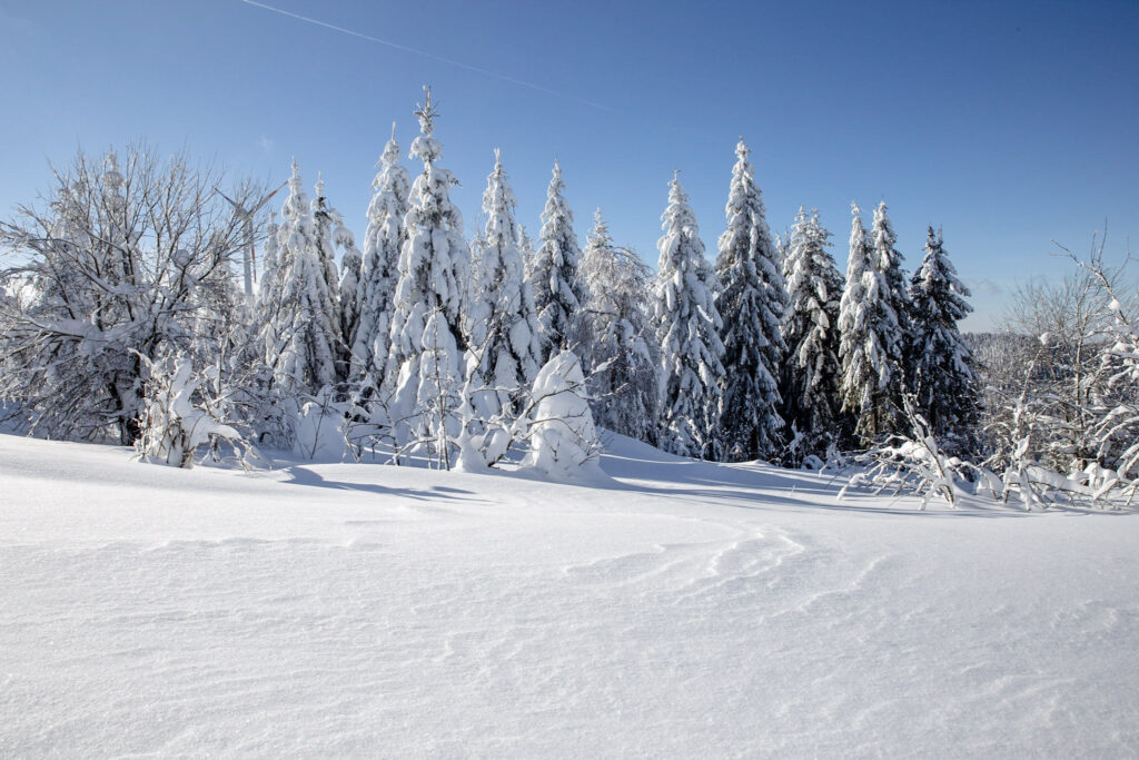 Schneeschuhtour in Bad Peterstal-Griesbach