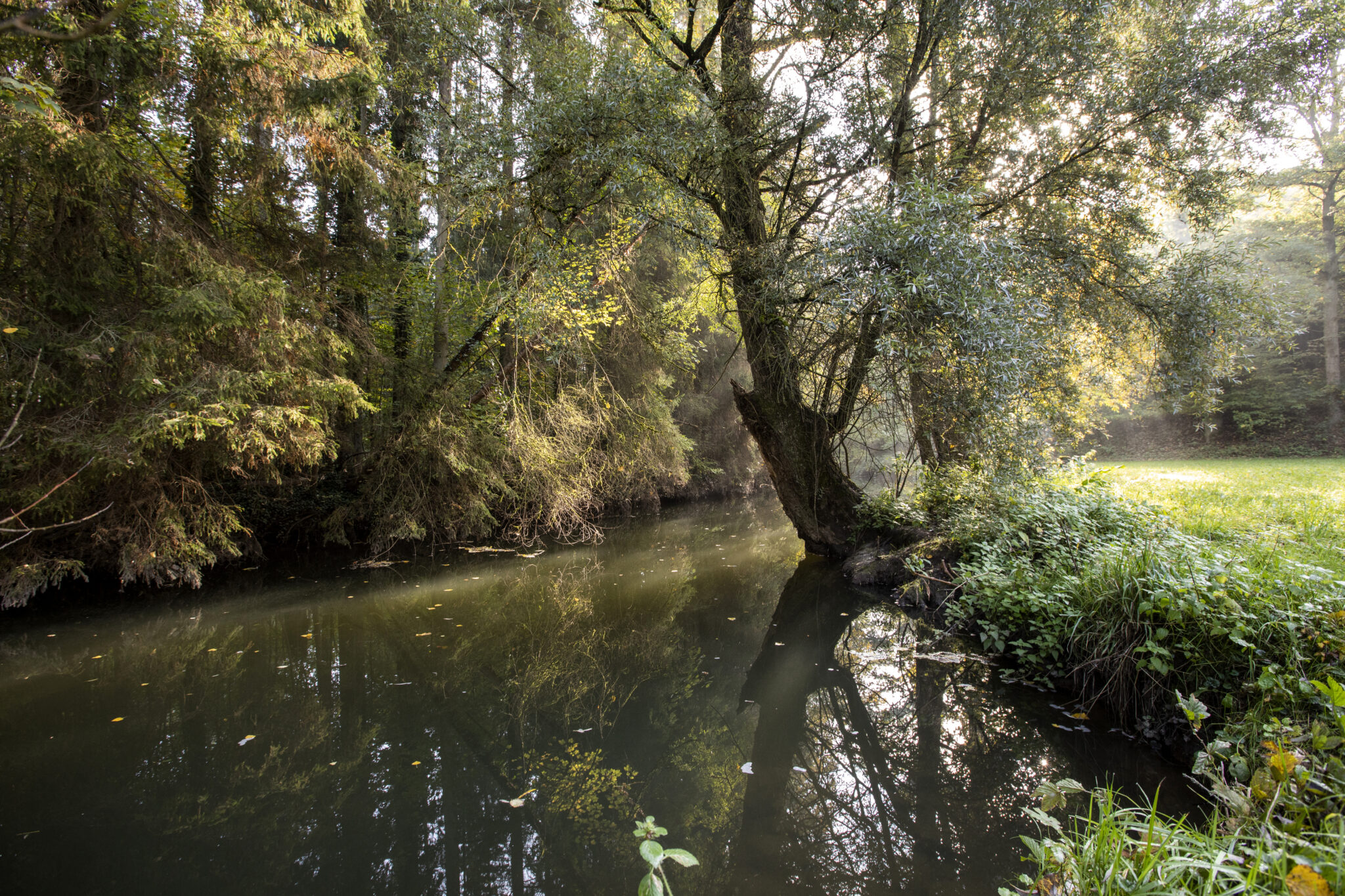NaturparkAugenBlickRunde Tiefenbronn Naturpark Schwarzwald Mitte/Nord