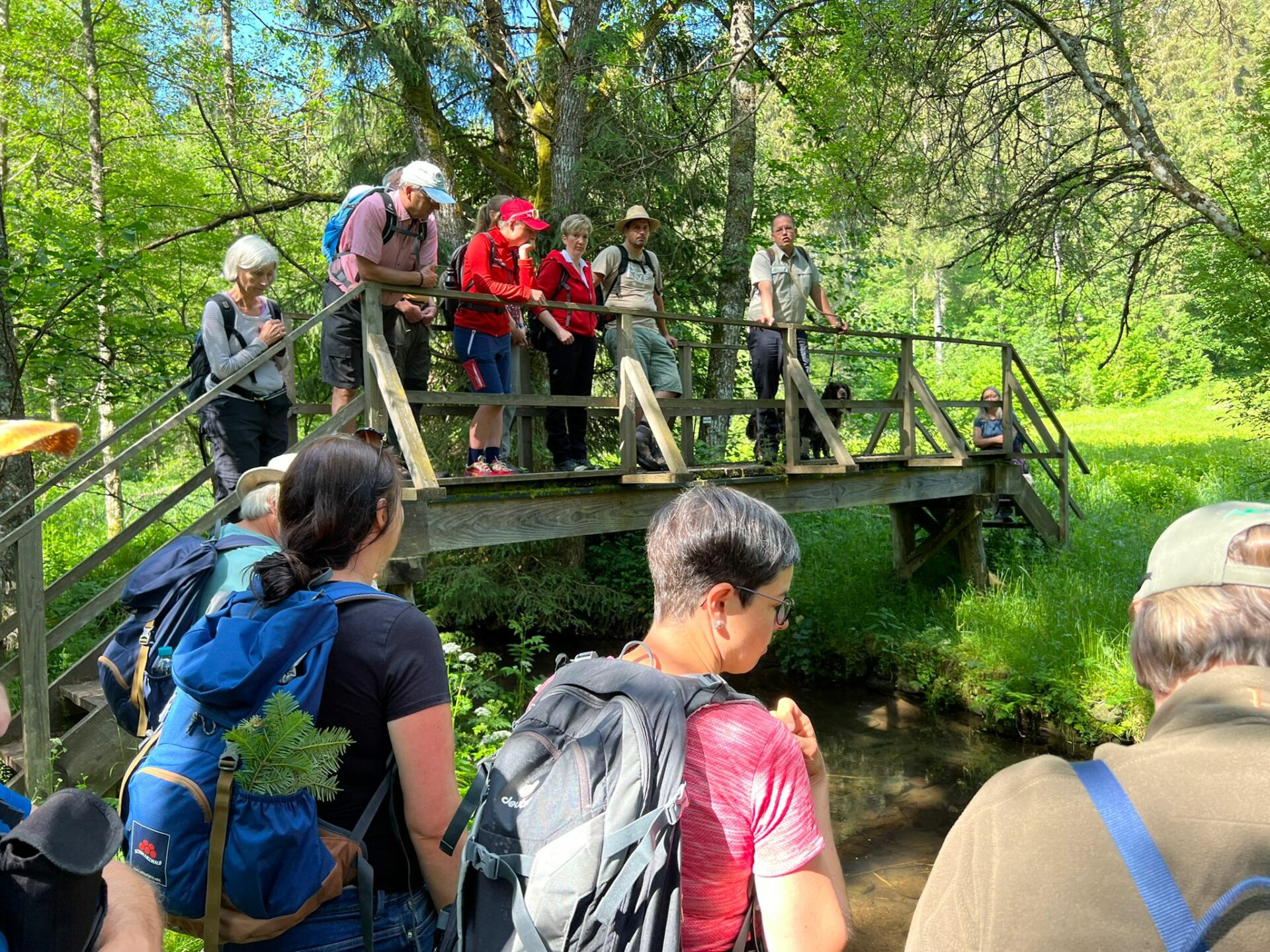 Ausbildung zum Schwarzwald-Guide - Reportage von Nicolai Stotz