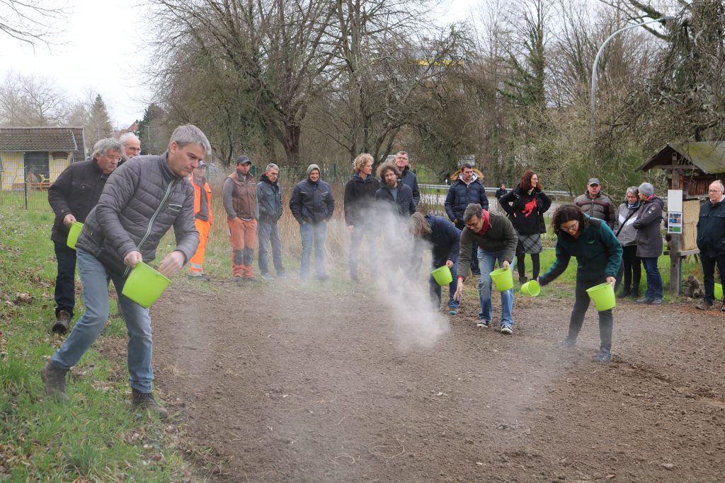 Blühender Naturpark: Erste Einsaat Wildblumenwiese 2023 in Bühl