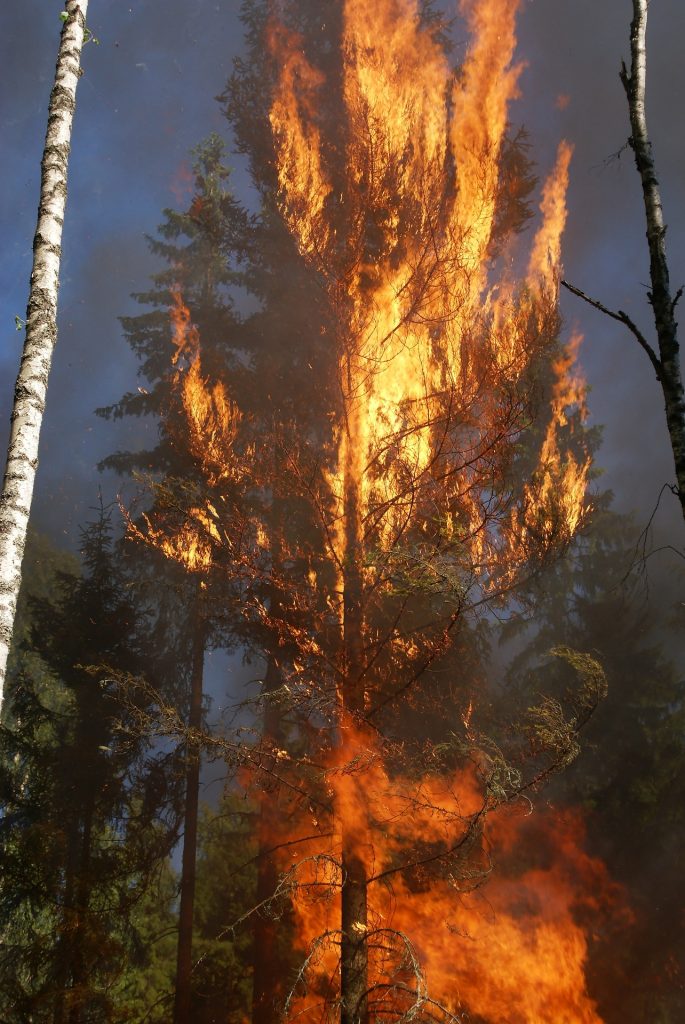 Waldbrandgefahr ernst nehmen