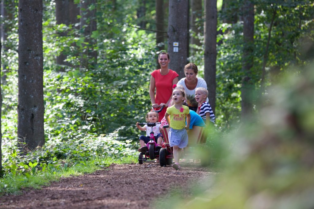 AOK-Gesundheitstipp - Spaß im Wald für Kinder