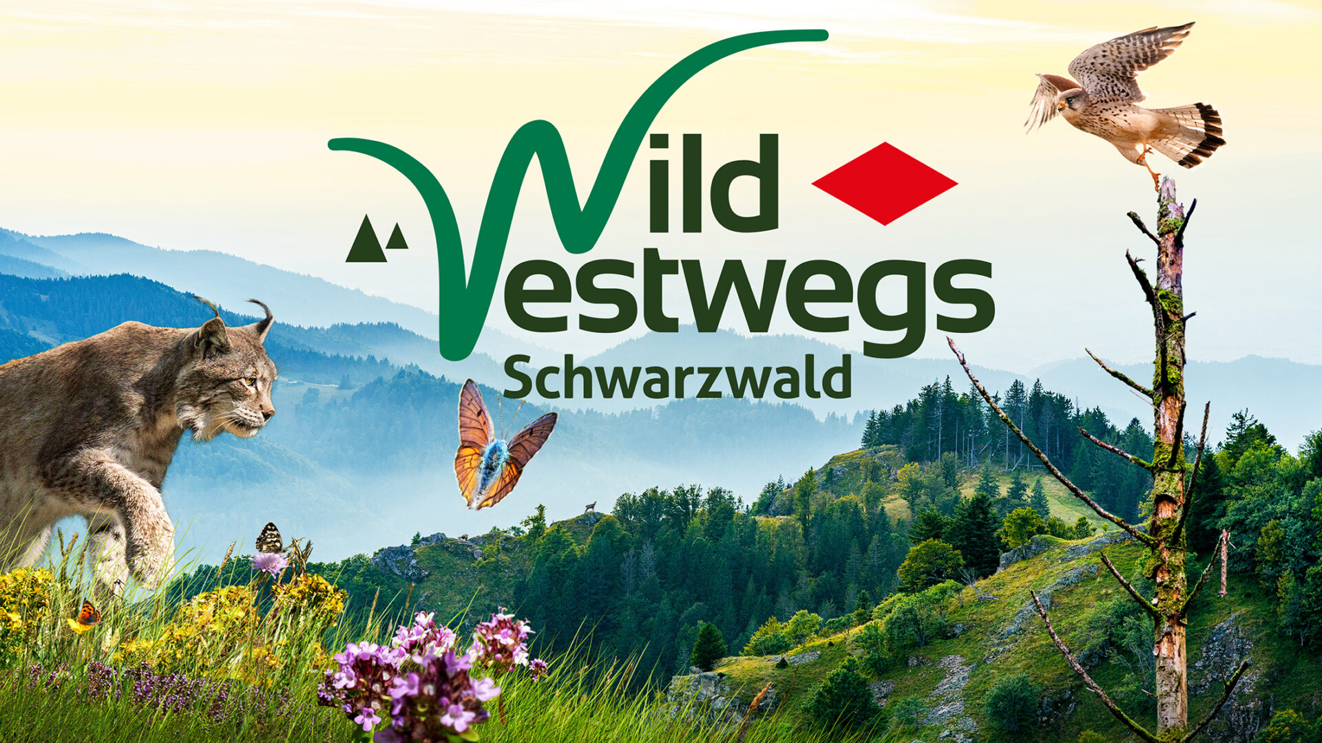 badenova Kino-Event WildWestwegs