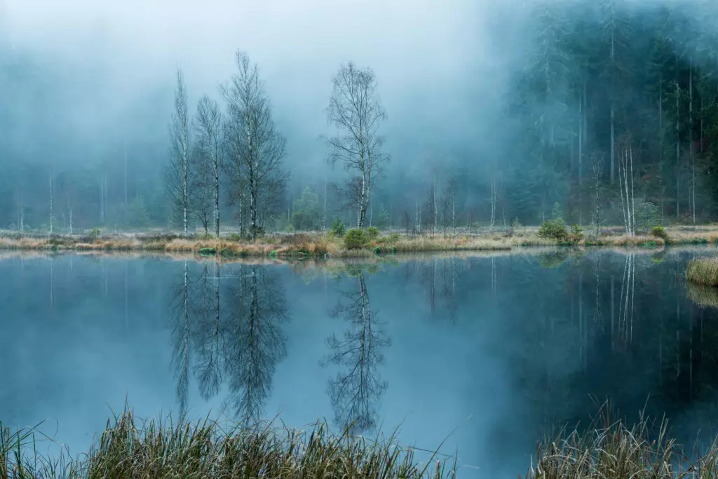 Gewinner Fotowettbewerb 2019 "Die Welt des Wassers"