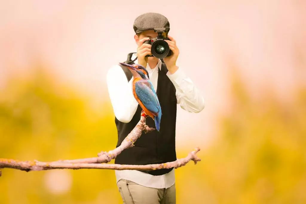 Fotowettbewerb - Fotograf - Eisvogel